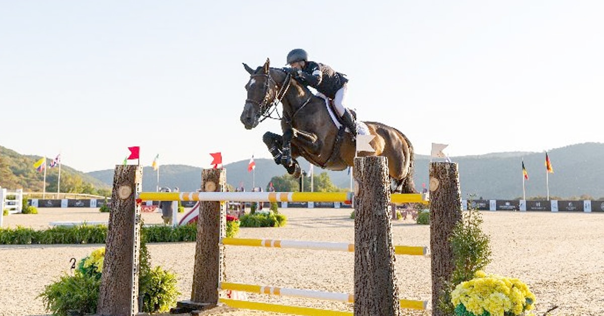 A man jumping a bay mare over a fence in New York.