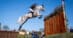 A man on a grey horse jumping a ditch at Fair Hill.
