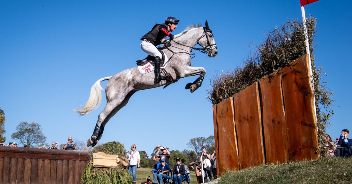 A man on a grey horse jumping a ditch at Fair Hill.