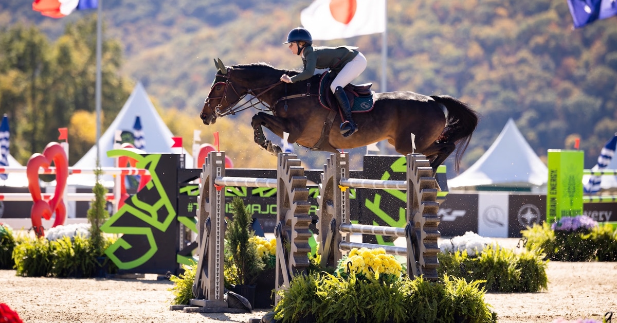A woman jumping a bay horse over a fence in New York.