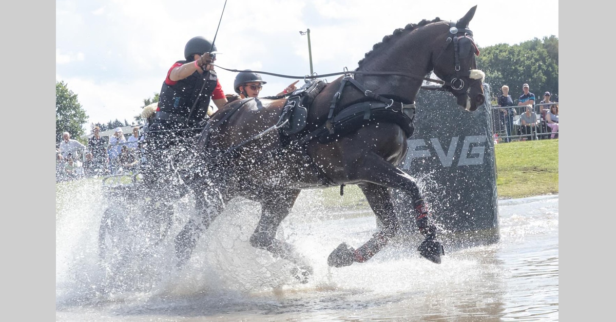 A woman driving a horse through a water hazard.