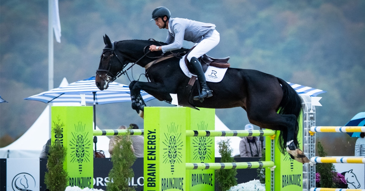 A man on a dark bay horse jumping a fence in New York.