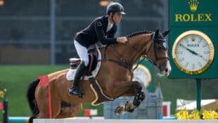 A man jumping a bay horse over a fence at Spruce Meadows.