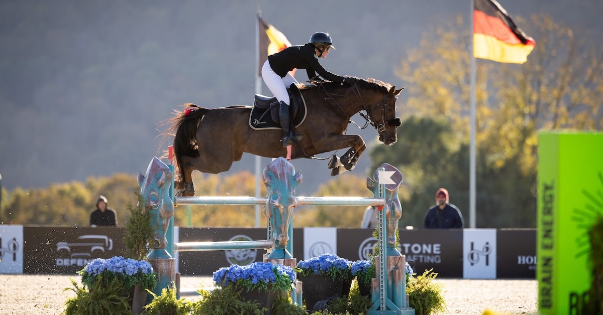 A woman jumping a chestnut horse over a fence in New York.