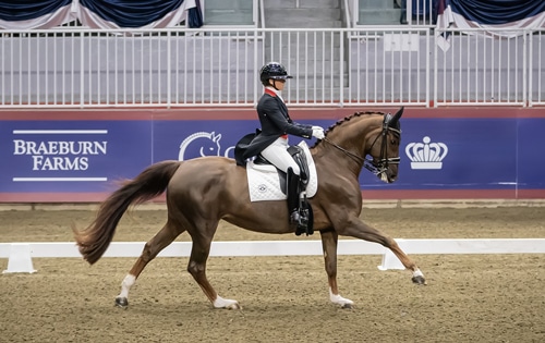 A woman riding a chestnut dressage horse in the arena at the Royal.