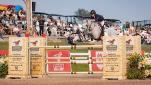 A horse and rider jumping a Champions Shavings-themed fence.