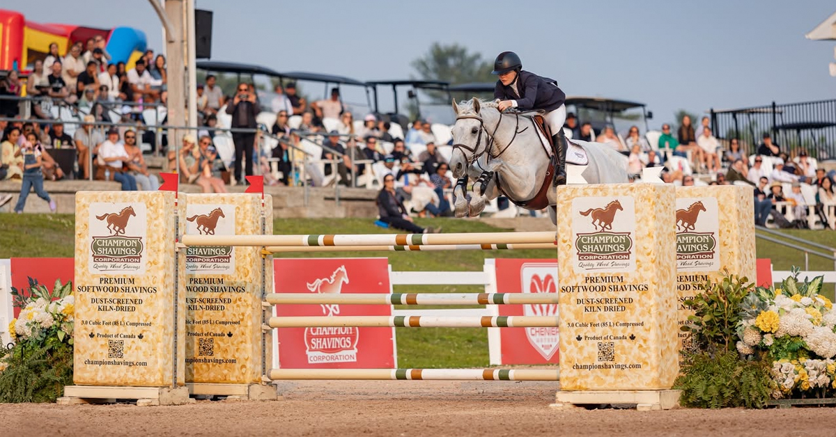A horse and rider jumping a Champions Shavings-themed fence.