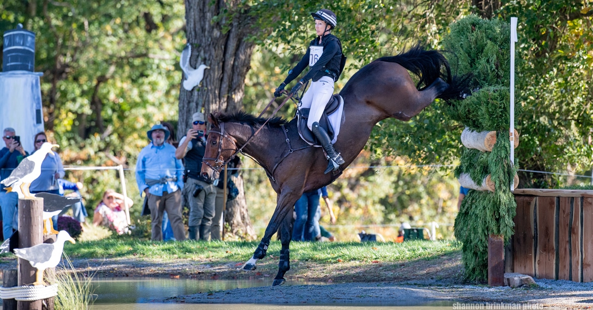 A woman jumping a bay horse over a cross-country fence in Maryland.