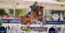 A man jumping a bay horse over a fence in Ocala.