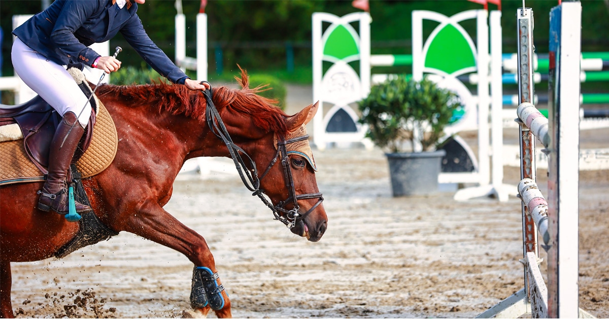 A chestnut horse refusing a fence at a show.