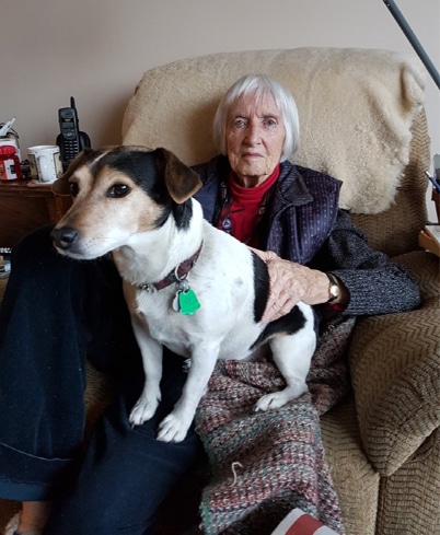 An older woman holding a Jack Russell terrier.
