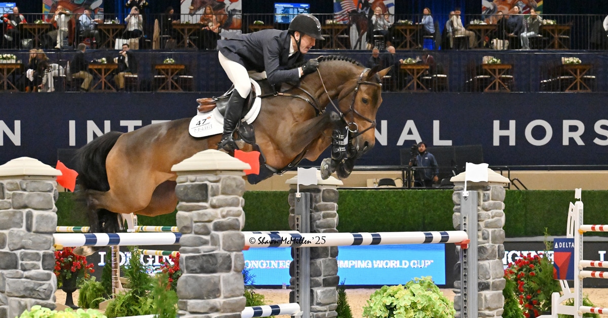 A man on a bay horse jumping a fence at a horse show in Maryland.