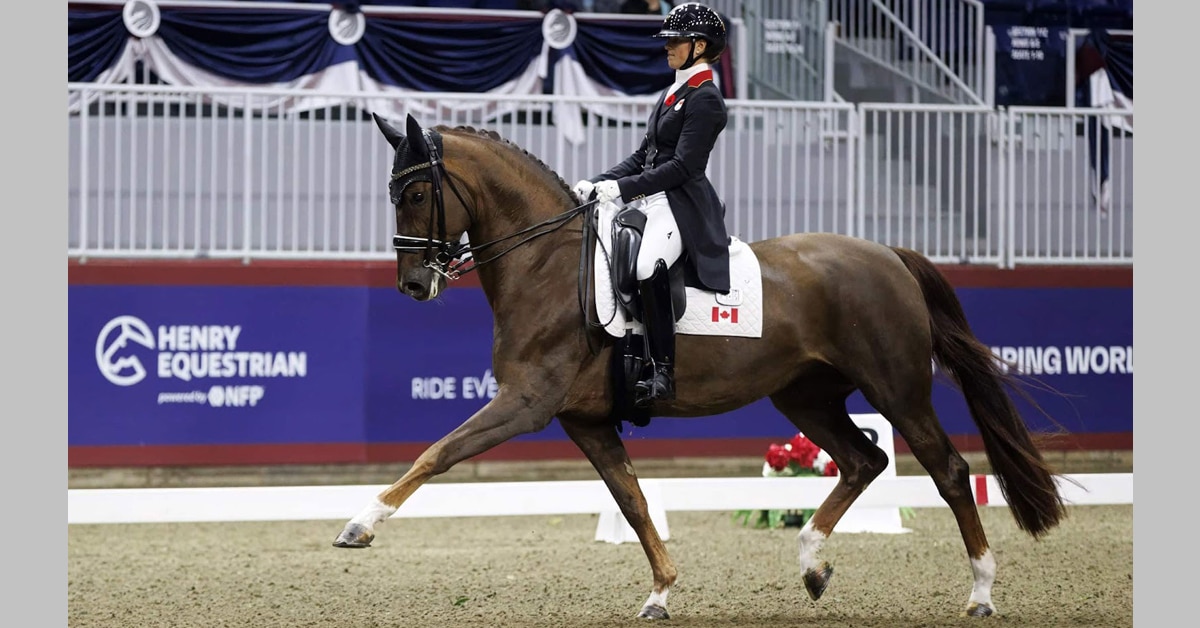 A woman riding a chestnut dressage horse in extended trot at the Royal.