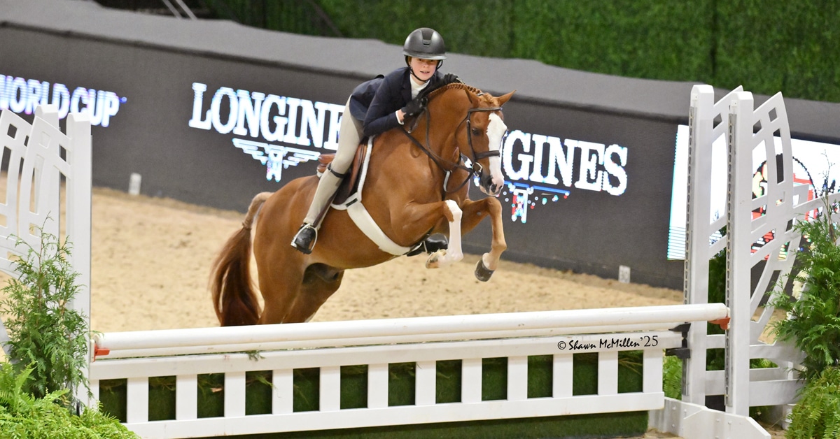 A young girl riding a bay pony over a hunter fence.