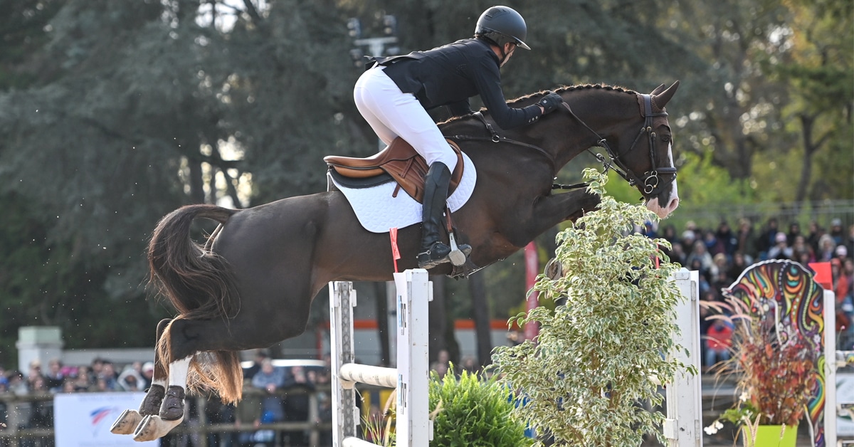 A man jumping a fence in France on a dark bay horse.