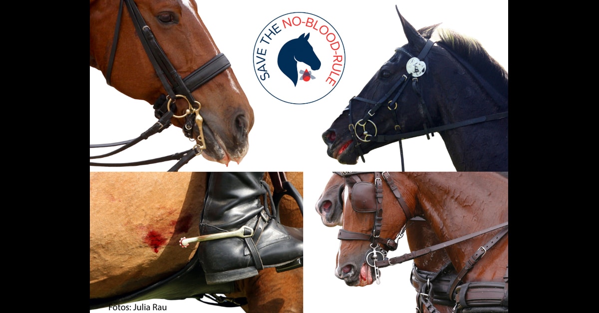 Four photos of horses with blood on their mouth or sides.