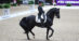 A man riding a black dressage horse in an arena in France.