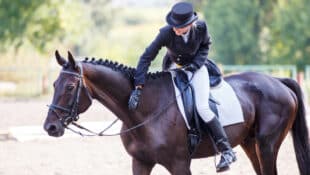 A woman patting a dark bay dressage horse in the ring.