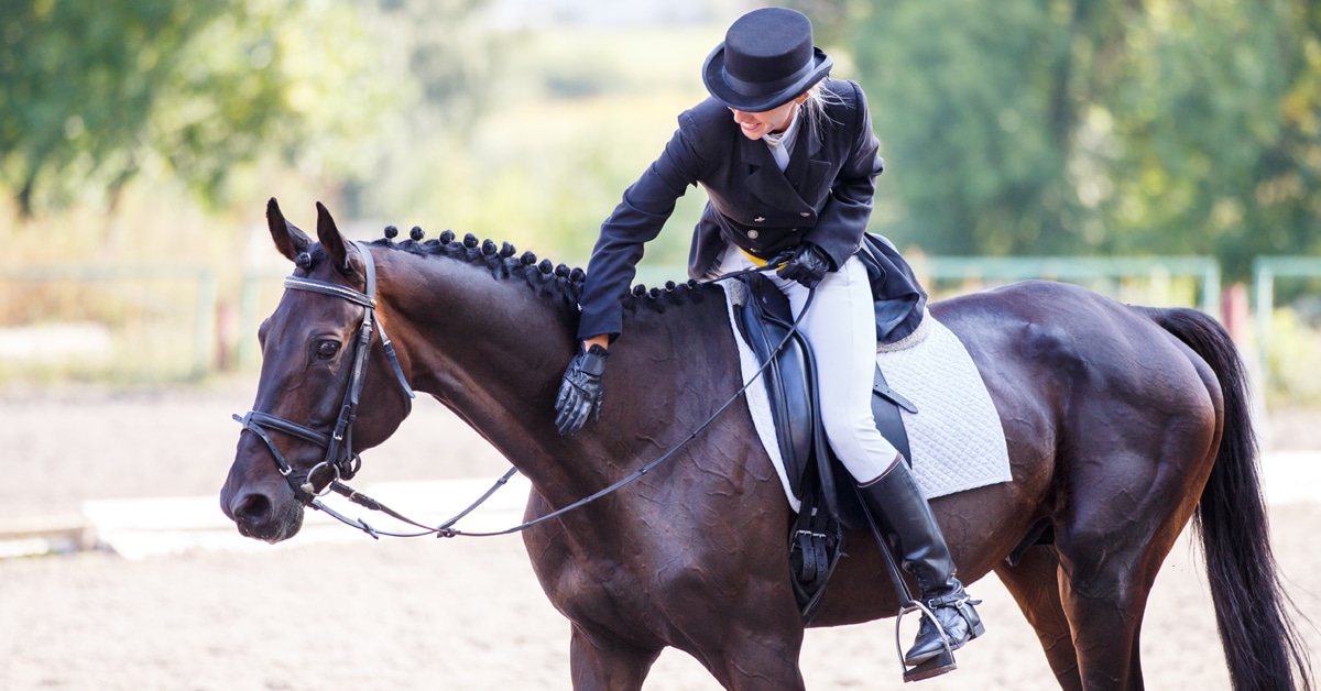 A woman patting a dark bay dressage horse in the ring.