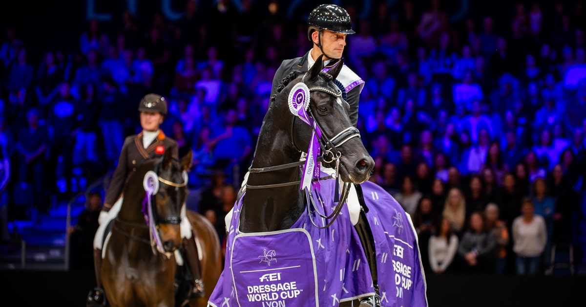 A man on a black stallion during an awards ceremony.