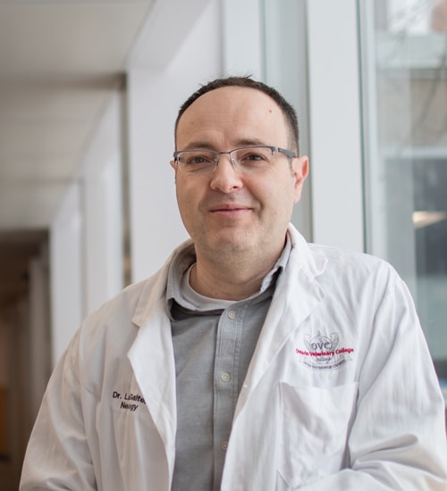 A smiling vet standing in a hallway.