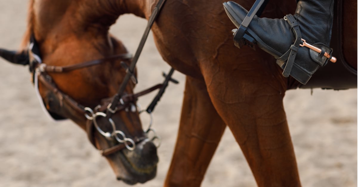 A horse with a severe bit lowering its head; its rider wearring long spurs.