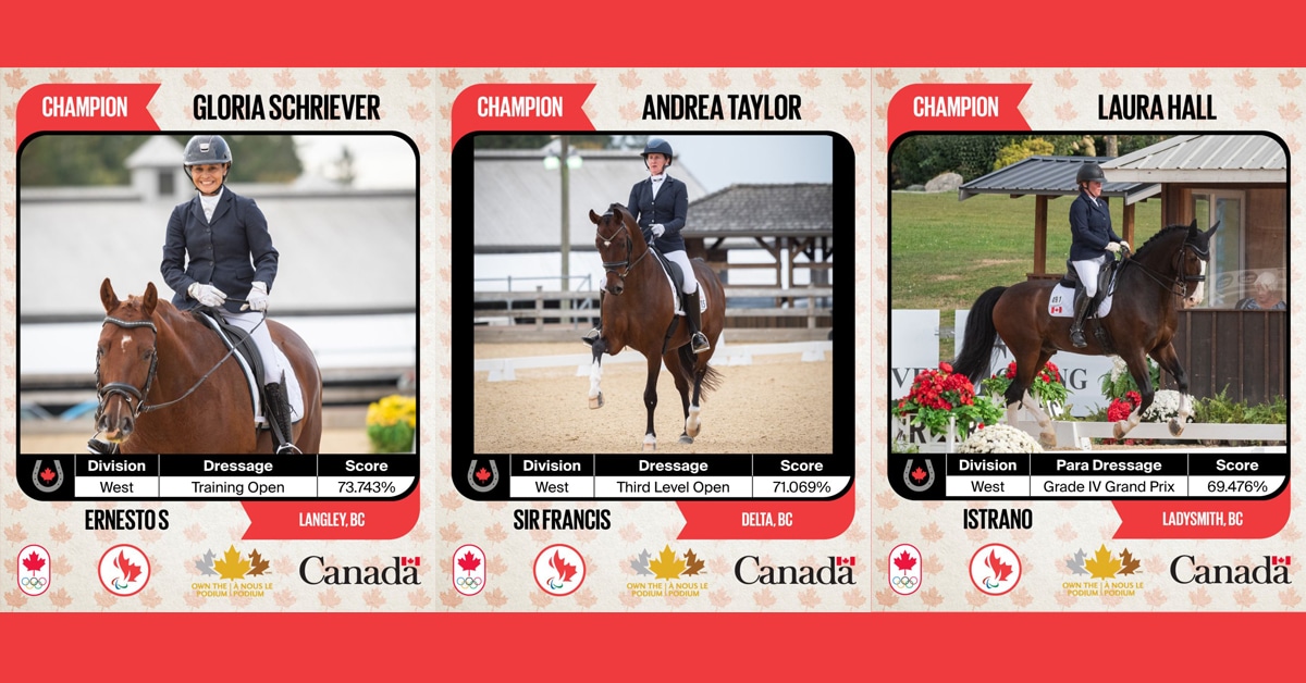 Three dressage division winners.