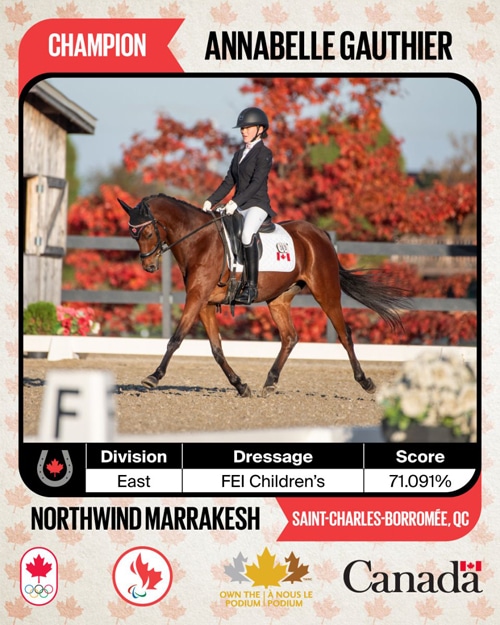 A young woman riding a dressage horse.