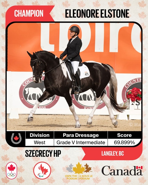 A woman riding a paint dressage horse.