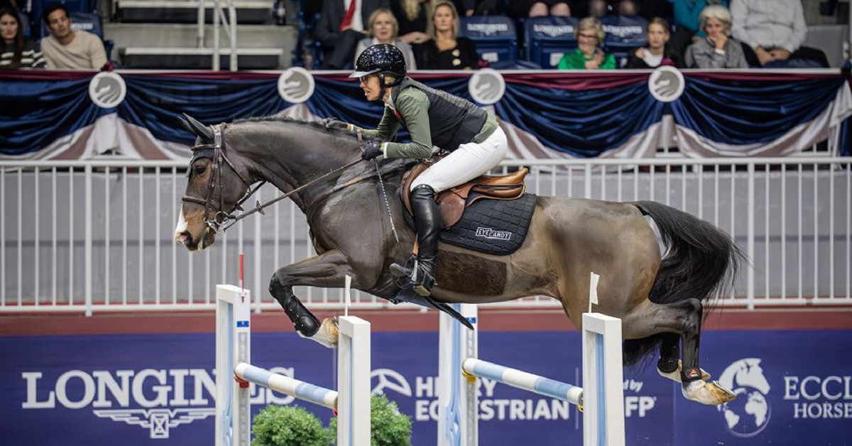 A woman jumping a bay horse over a fence at the Royal.