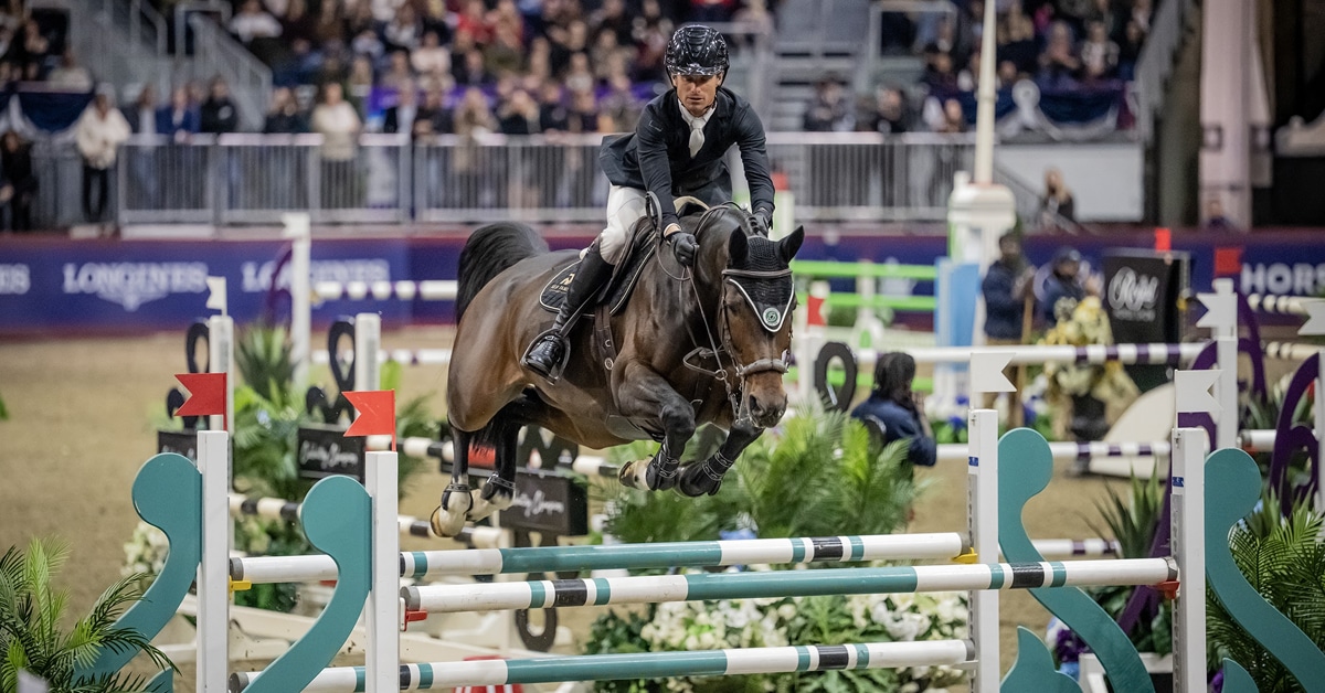 A man jumping a dark bay horse over a fence at the Royal.
