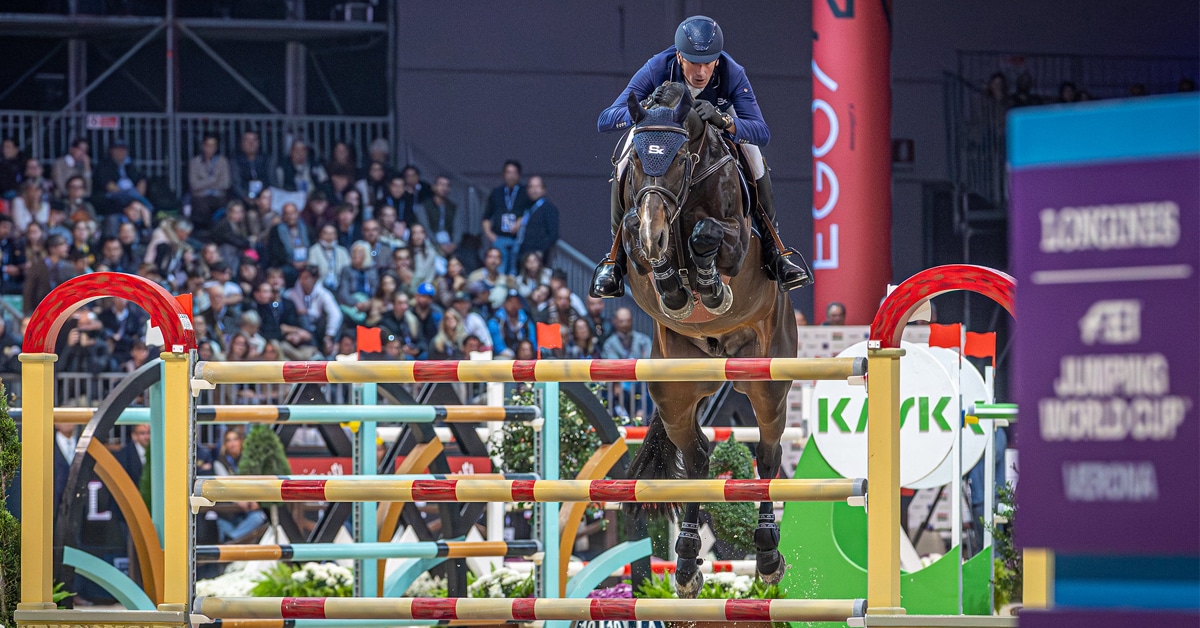 A man jumping a bay horse over a fence in Verona.