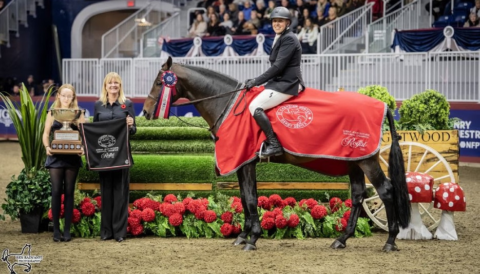 A man on a bay horse wearing a red blanket.
