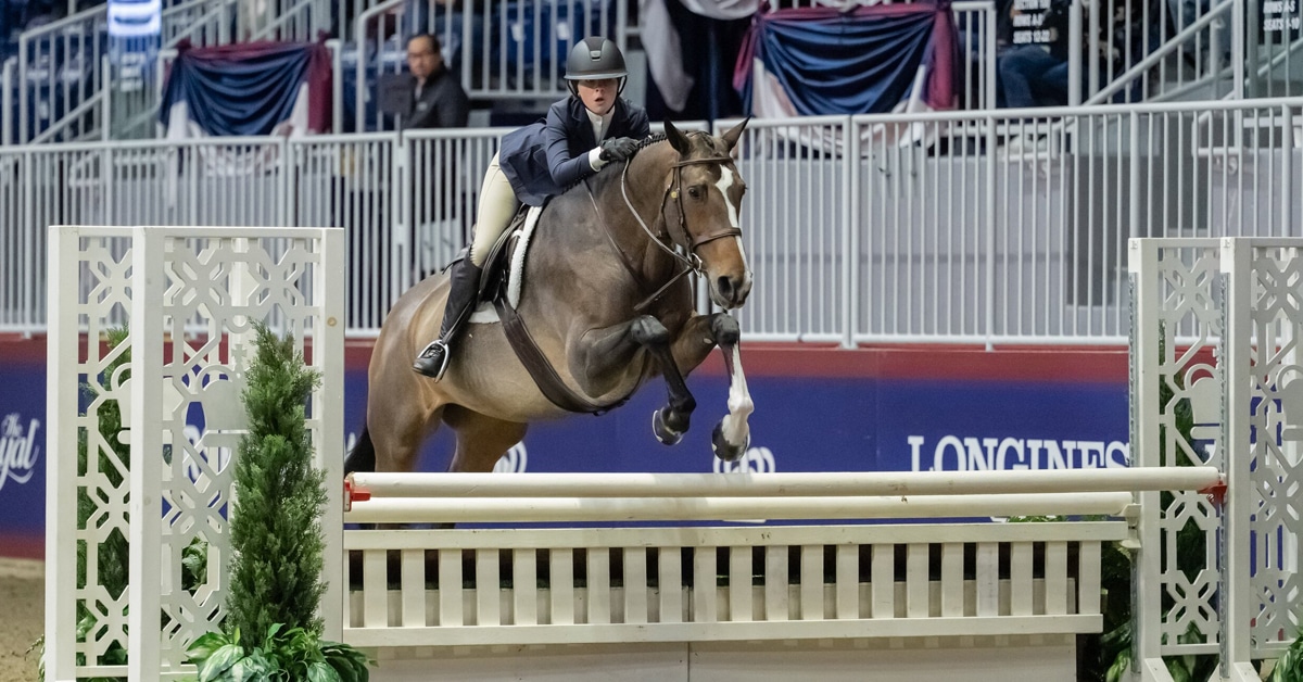 A young woman on a bay hunter jumping at the Royal.