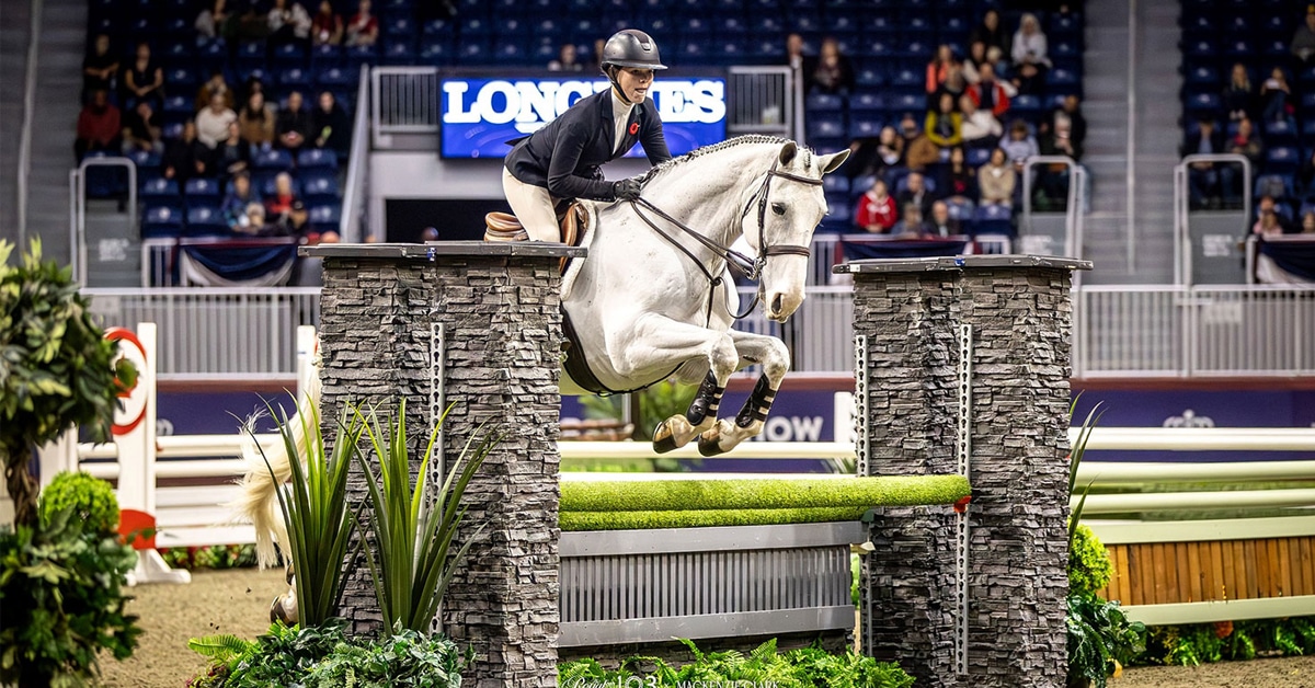 A young woman jumping a hunter fence at the Royal riding a grey horse.