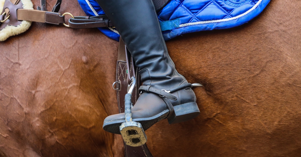 A rider digging a spur into a horse' flank.