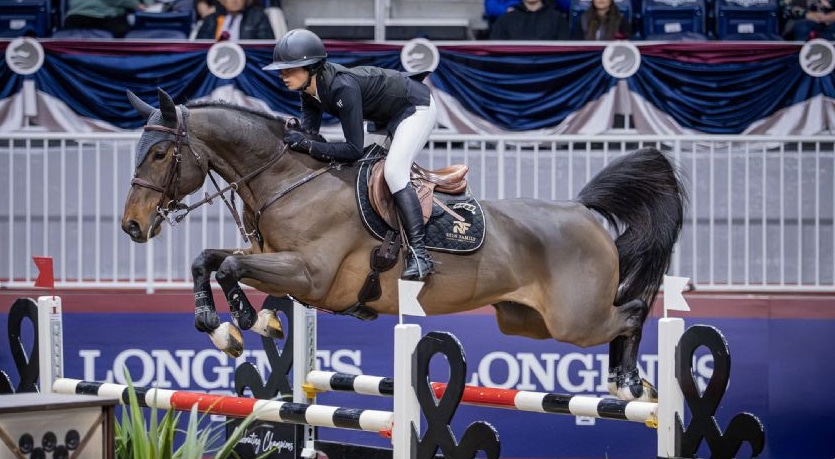 A woman jumping a bay horse over a fence at the Royal.