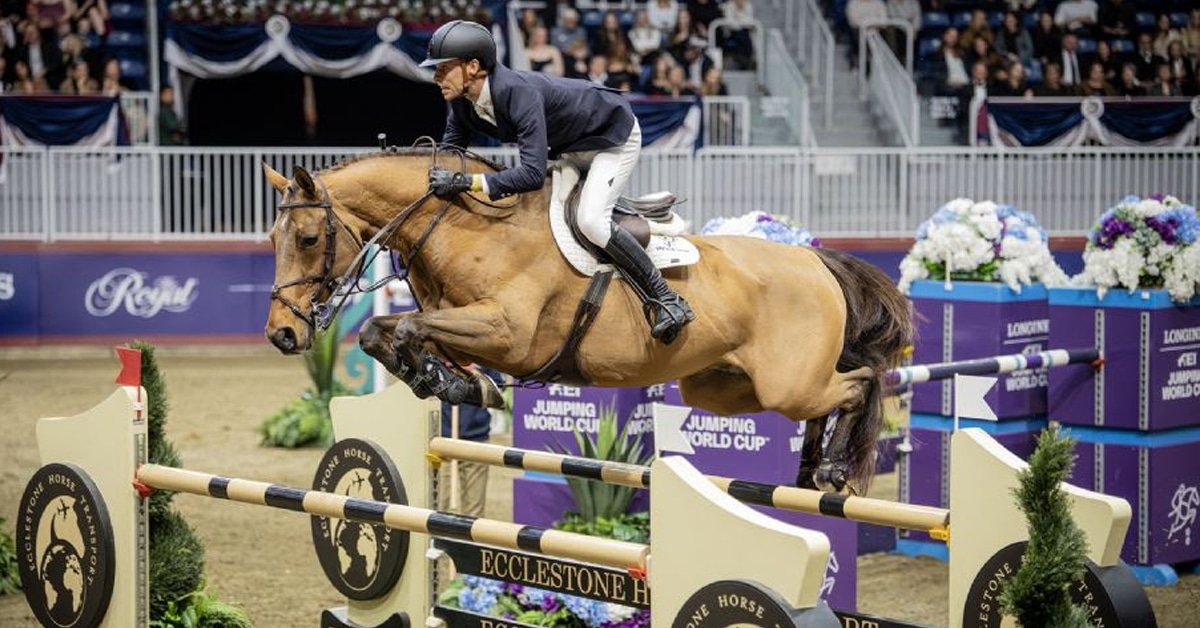 A man jumping a chestnut horse over a fence at the Royal.