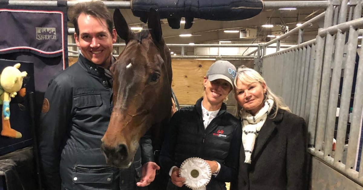 Three people in a stall with a dark bay horse.