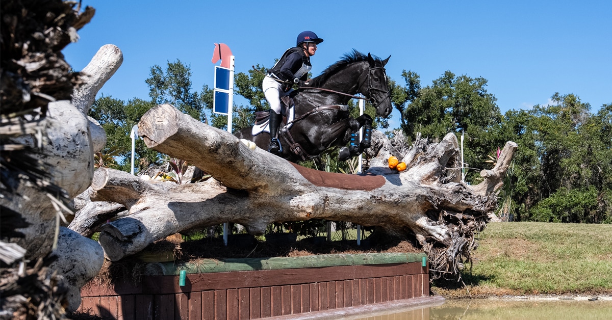 A woman jumping over a large log into the water on a black horse.