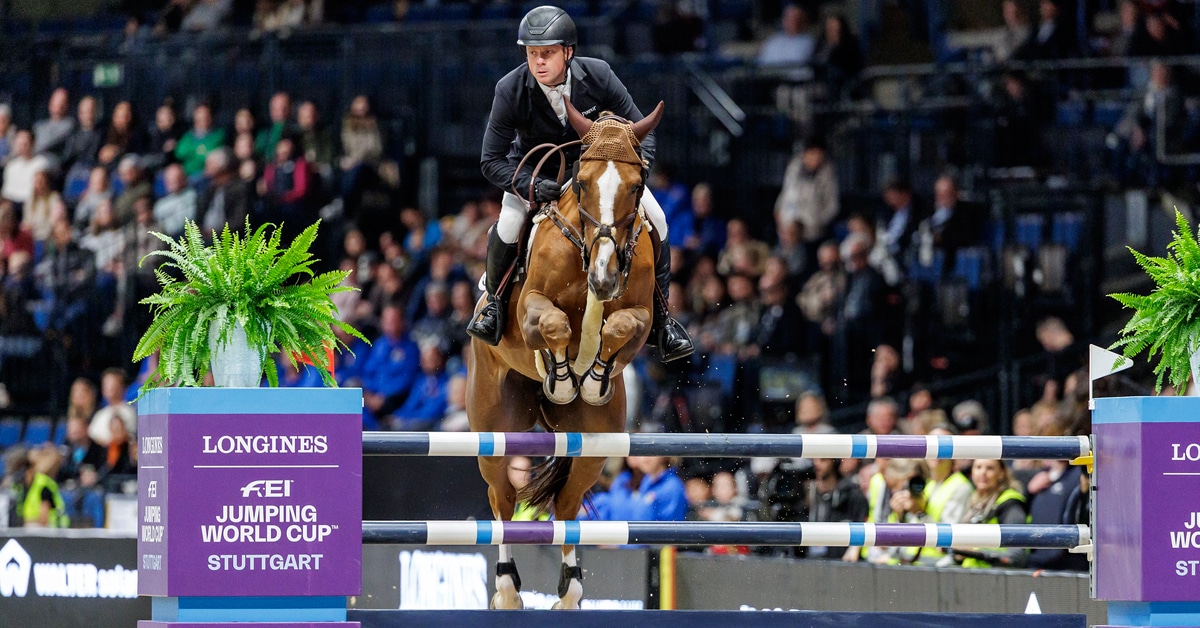 A man jumping a chestnut mare over a fence in Stuttgart.