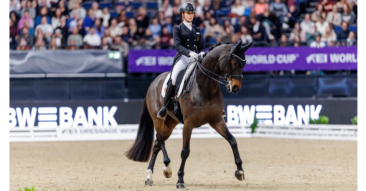 A woman riding a dark bay dressage horse in an arena.