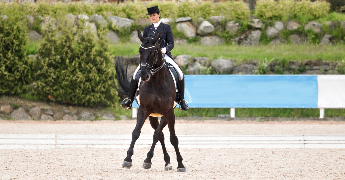 A woman riding a dressage test on a black horse.