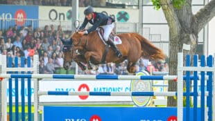 A man on a chestnut horse jumping a fence at Spruce Meadows.