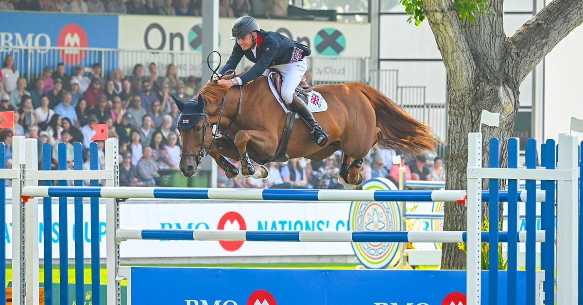 A man on a chestnut horse jumping a fence at Spruce Meadows.