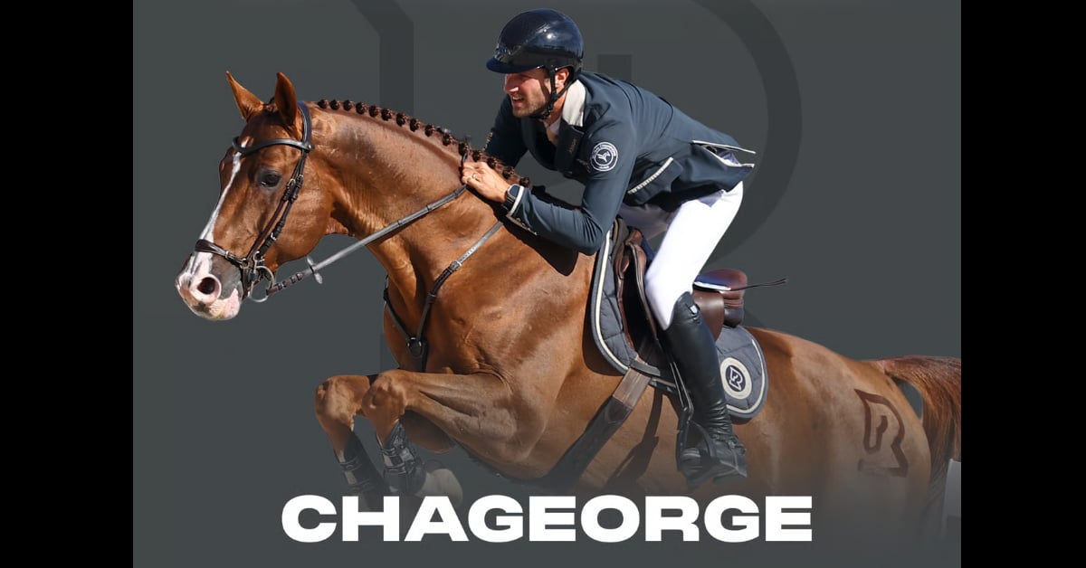 A chestnut horse jumping on a poster.