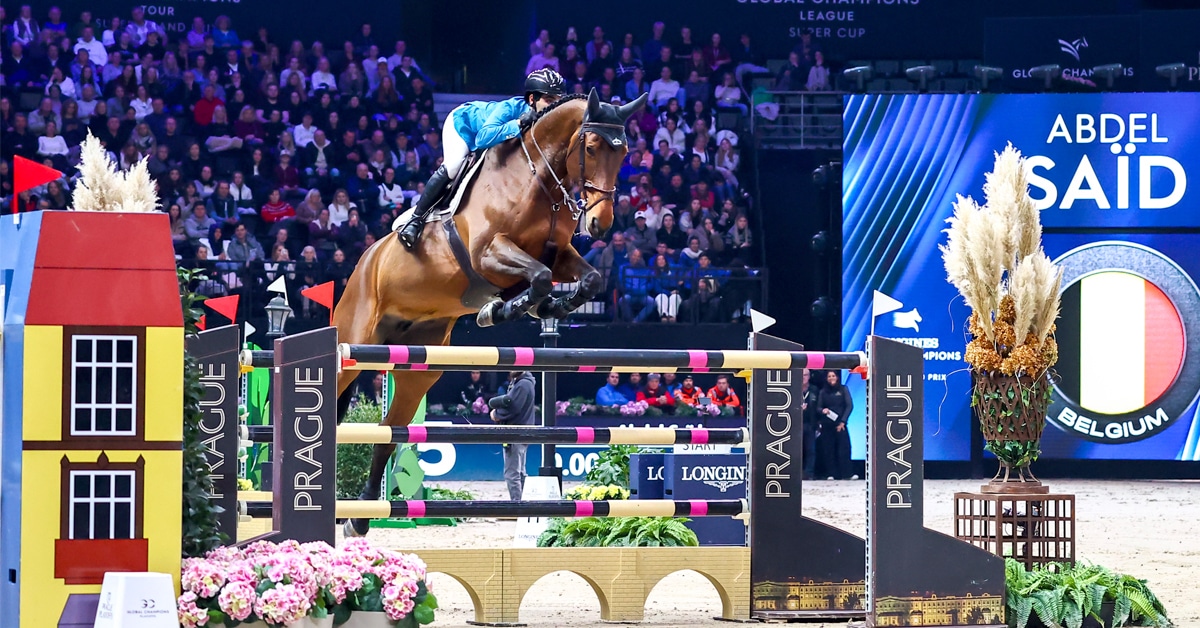 A man on a bay mare jumping a fence in Prague.