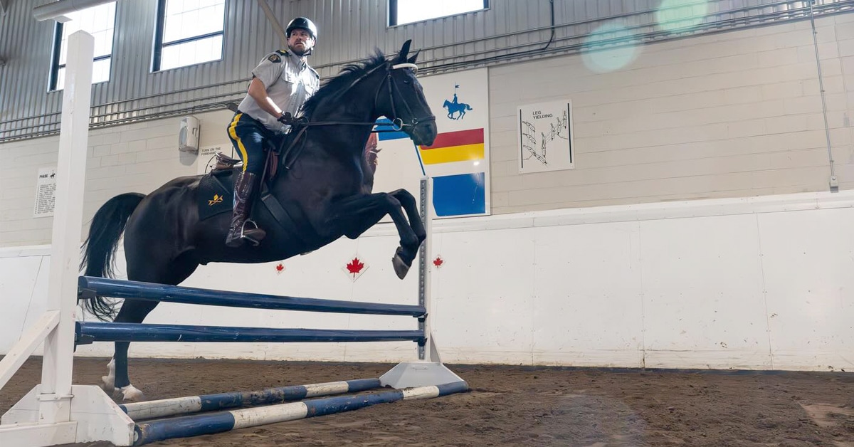 An RCMP member jumping a fence on a black horse.