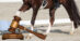 A dressage horse's legs; a gavel.