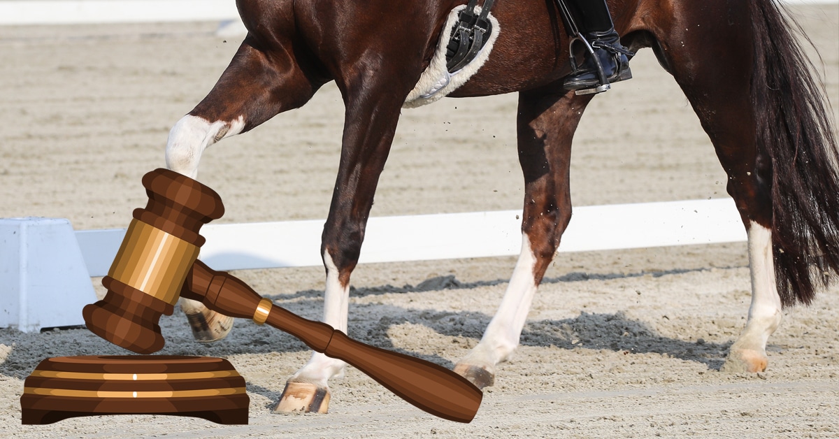 A dressage horse's legs; a gavel.